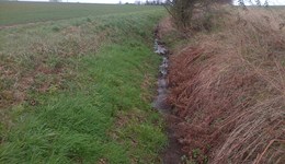 North Essex Monitor Farm – Ditch and drainage management